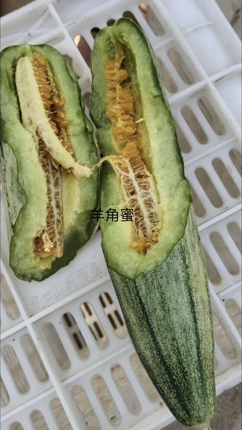 冰激凌网纹玉菇、羊角蜜甜瓜、各种瓜果等候老板选购