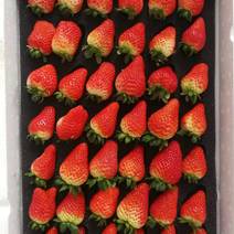 出售奶油草莓章姬红颜普通草莓太空联盟