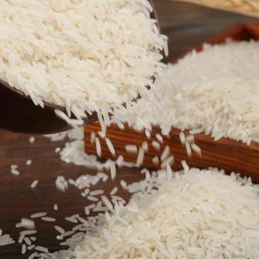 有机种植大米没有用过化肥农药