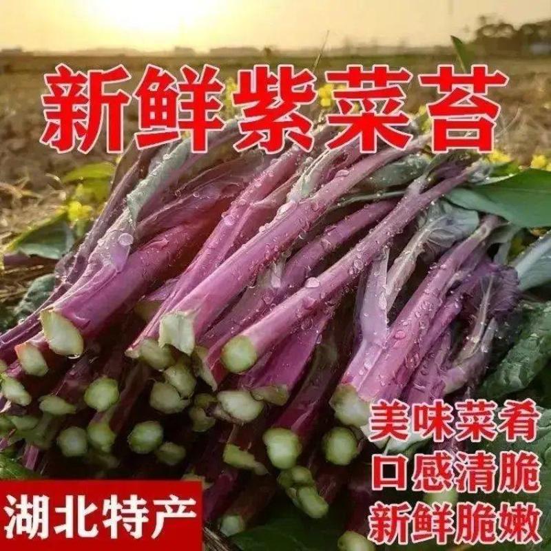 湖北精品红菜苔产地直发品质保证量大从优欢迎联系