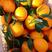 精品纽荷尔脐橙产地直发品质保证量大从优欢迎联系