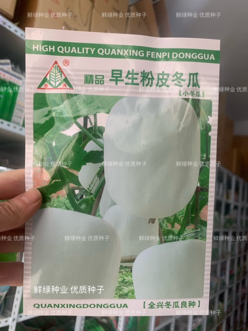 粉皮冬瓜杂交早中熟抗逆果皮粉白色筒形肉厚