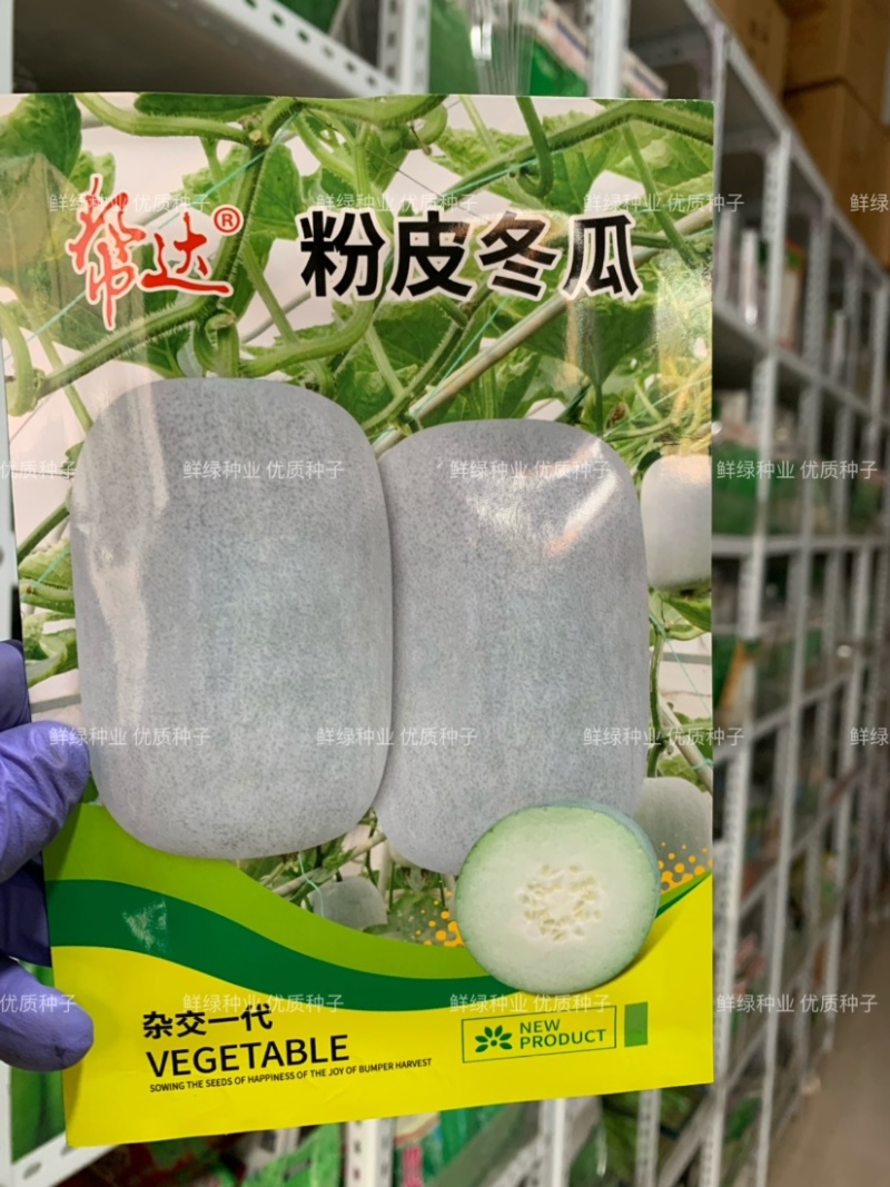 粉皮冬瓜杂交早中熟抗逆果皮粉白色筒形肉厚