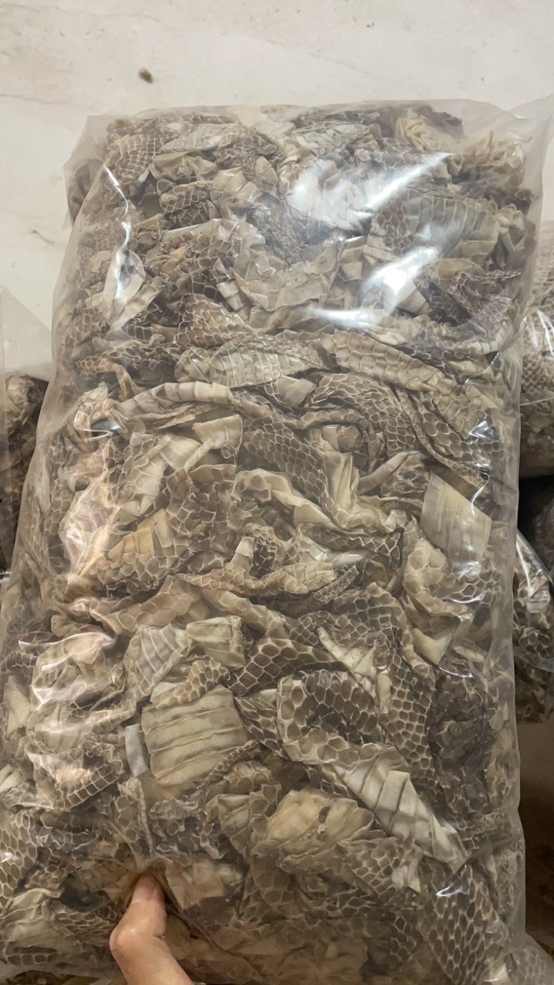 龙衣蛇皮蛇蜕长虫皮保庆药业实拍整条龙衣