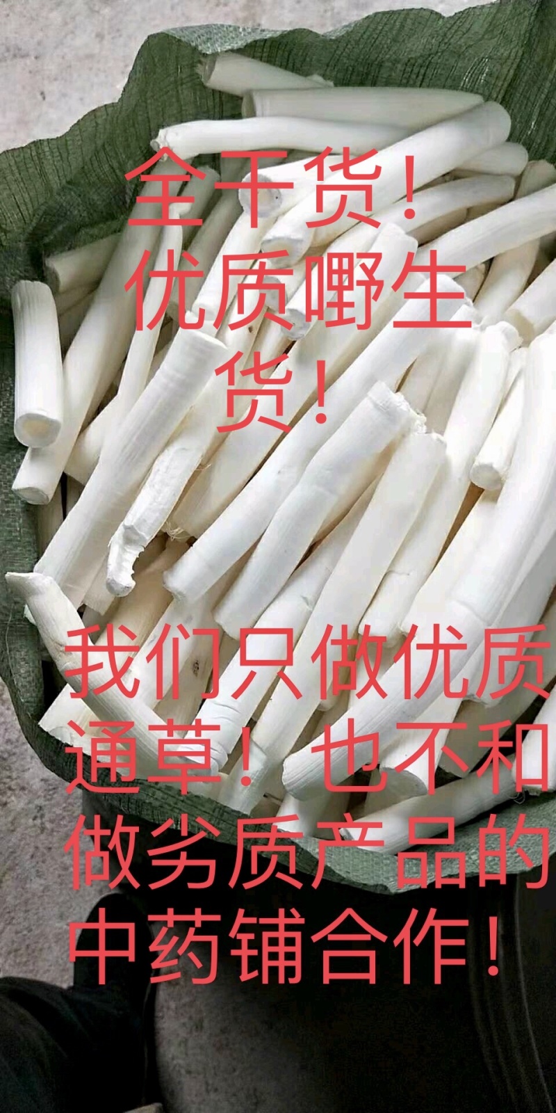 通草，大通草，小通草，产地直供，欢迎对接合作