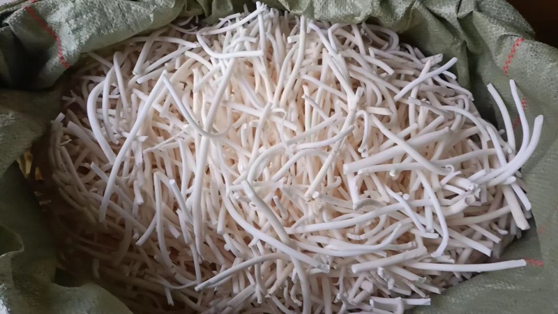 通草，大通草，小通草，产地直供，欢迎对接合作