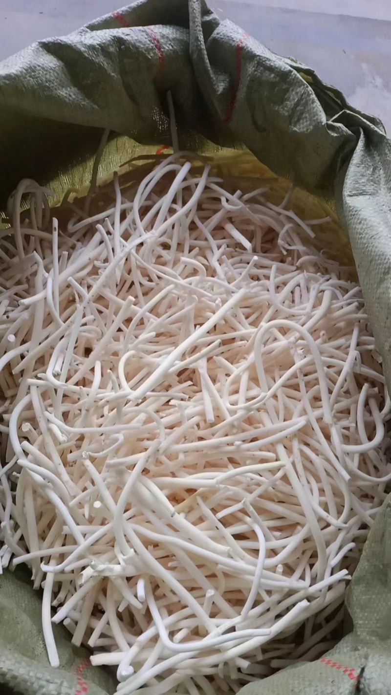 通草，大通草，小通草，产地直供，欢迎对接合作