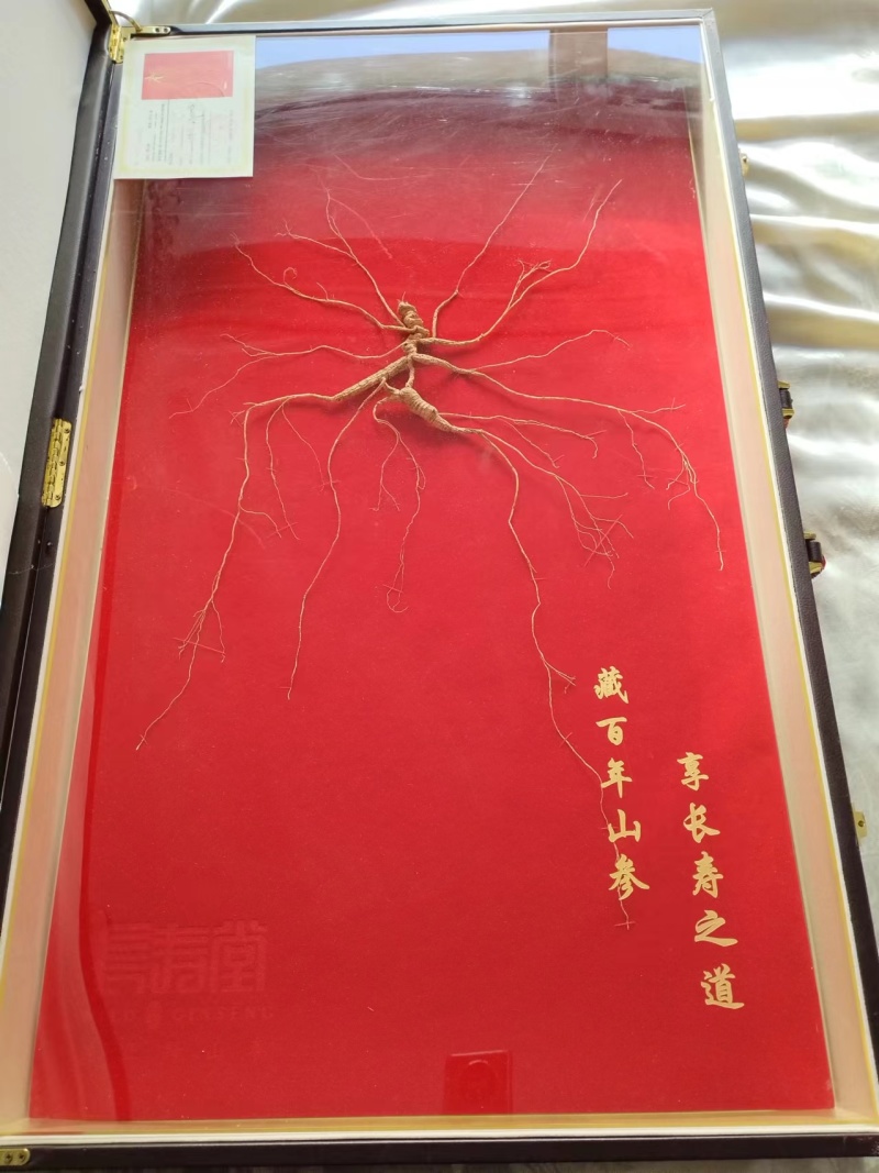 纯正野山参，2015年购入参龄35年，重量按实际称重为准