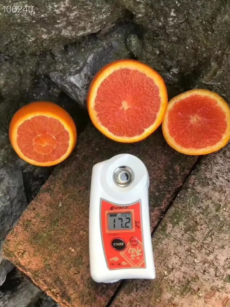 【中华红橙】湖北血橙大量上市产地直发欢迎咨询