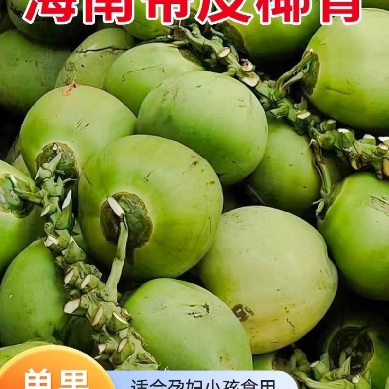 带皮椰子海南新鲜直发青皮椰子青椰孕妇水果天然椰子蛋
