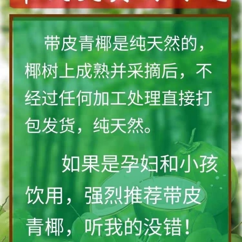带皮椰子海南新鲜直发青皮椰子青椰孕妇水果天然椰子蛋