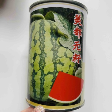 无籽美都西瓜种子红瓤花皮品种种子