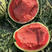 陕西甜王西瓜，陕西西瓜，大棚种植，甜度高，耐运输，