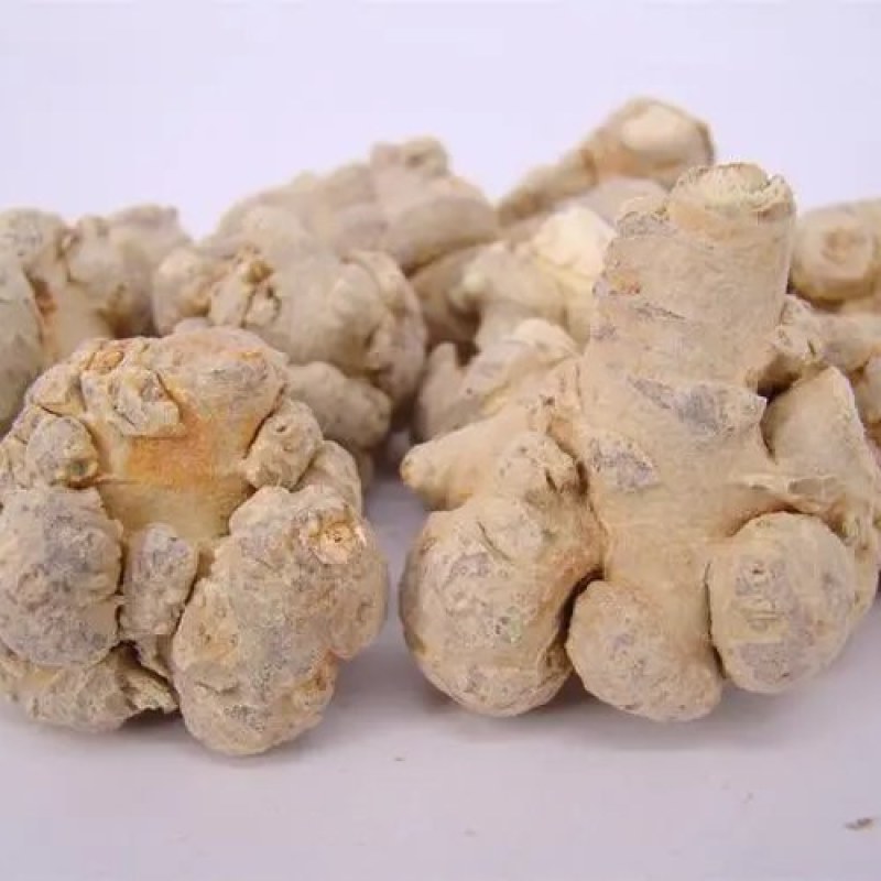 云南文山三七