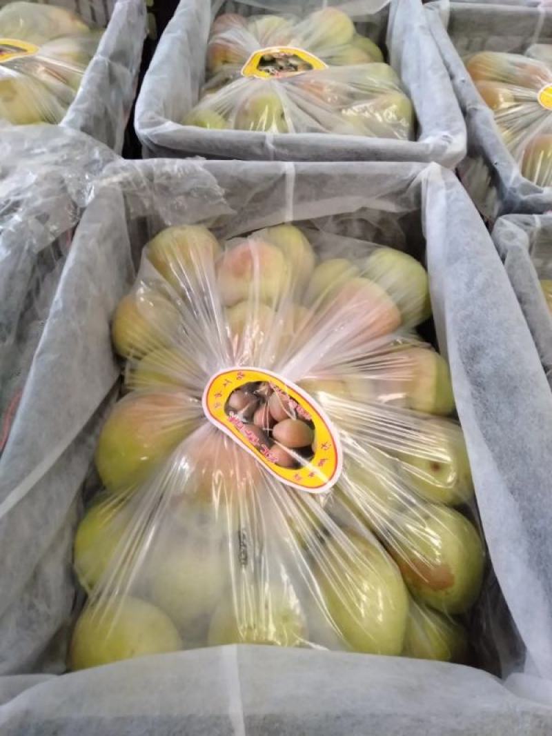 精品红香酥梨产地直发品质保证对接各类客户，大量供应