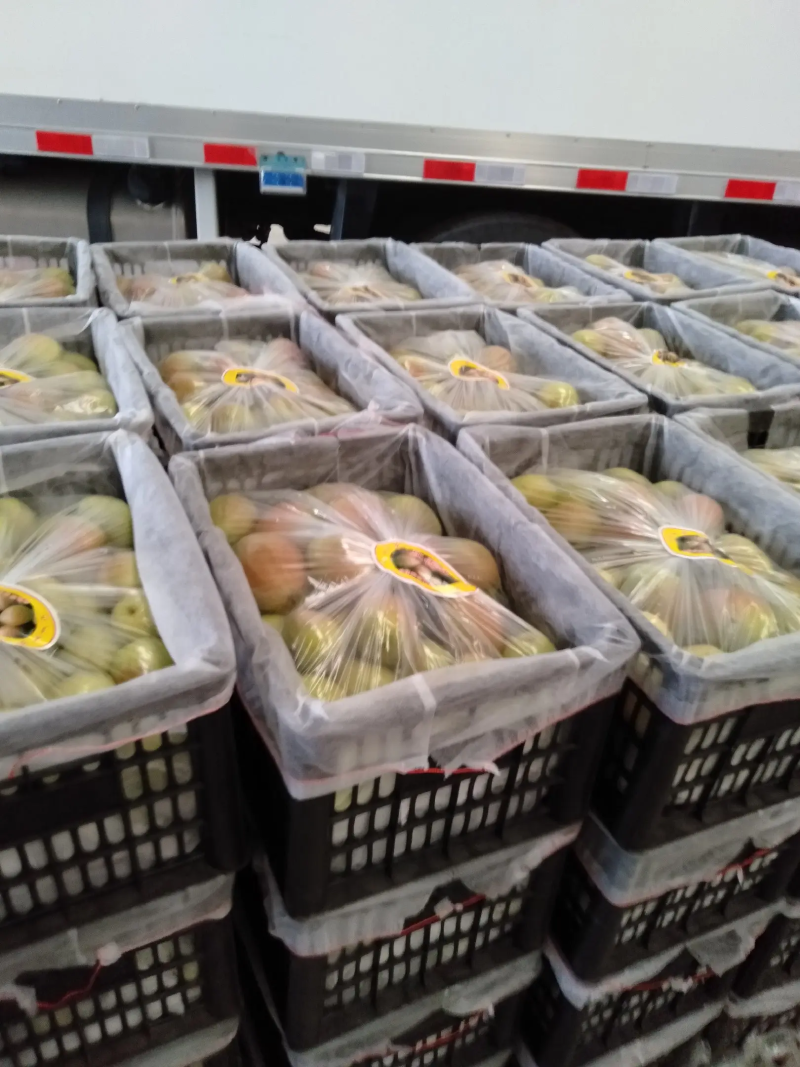 精品红香酥梨产地直发品质保证对接各类客户，大量供应