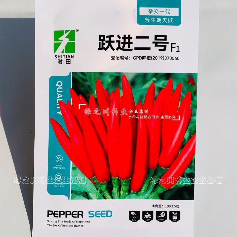 强辣型辣椒种子簇生朝天椒种子杂交一代朝天小辣椒种籽可干制