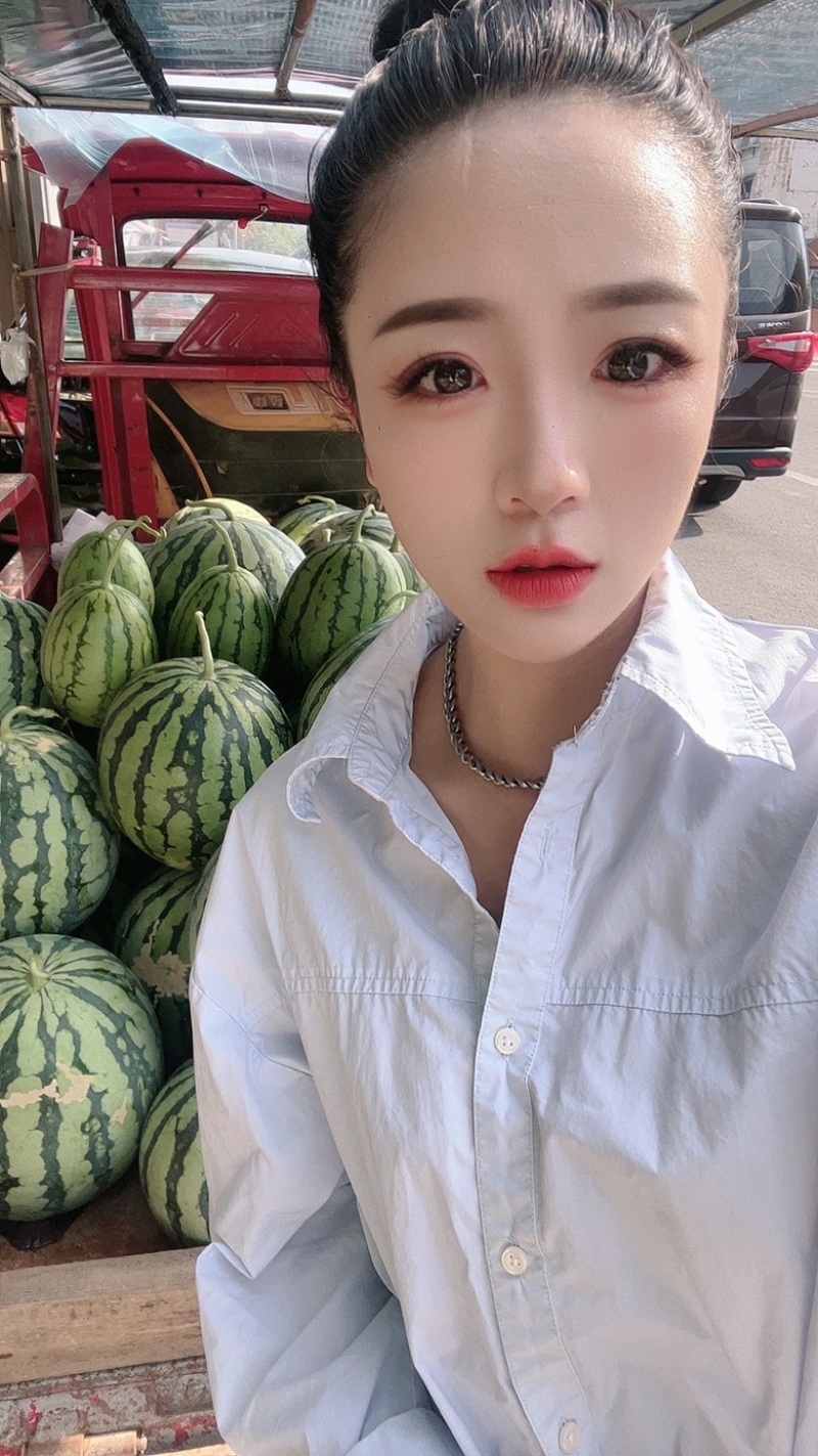 预定开始成都简阳现货微萌美都嫁接西瓜苗