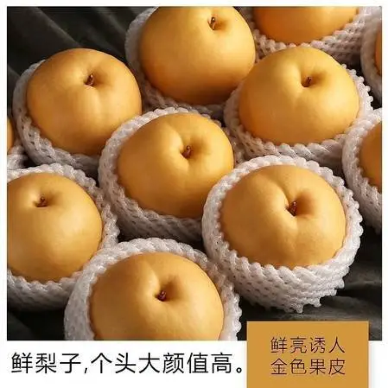 秋月梨，果行端正，无渣，含糖量高，口感甜，一手货源