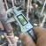 黄槿1-4分基地大量现货，欢迎各位客户咨询