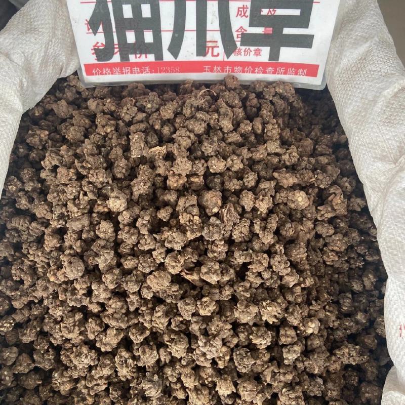 【包邮】猫爪草特级猫爪草野生晒干中药材无硫新鲜猫爪草当季