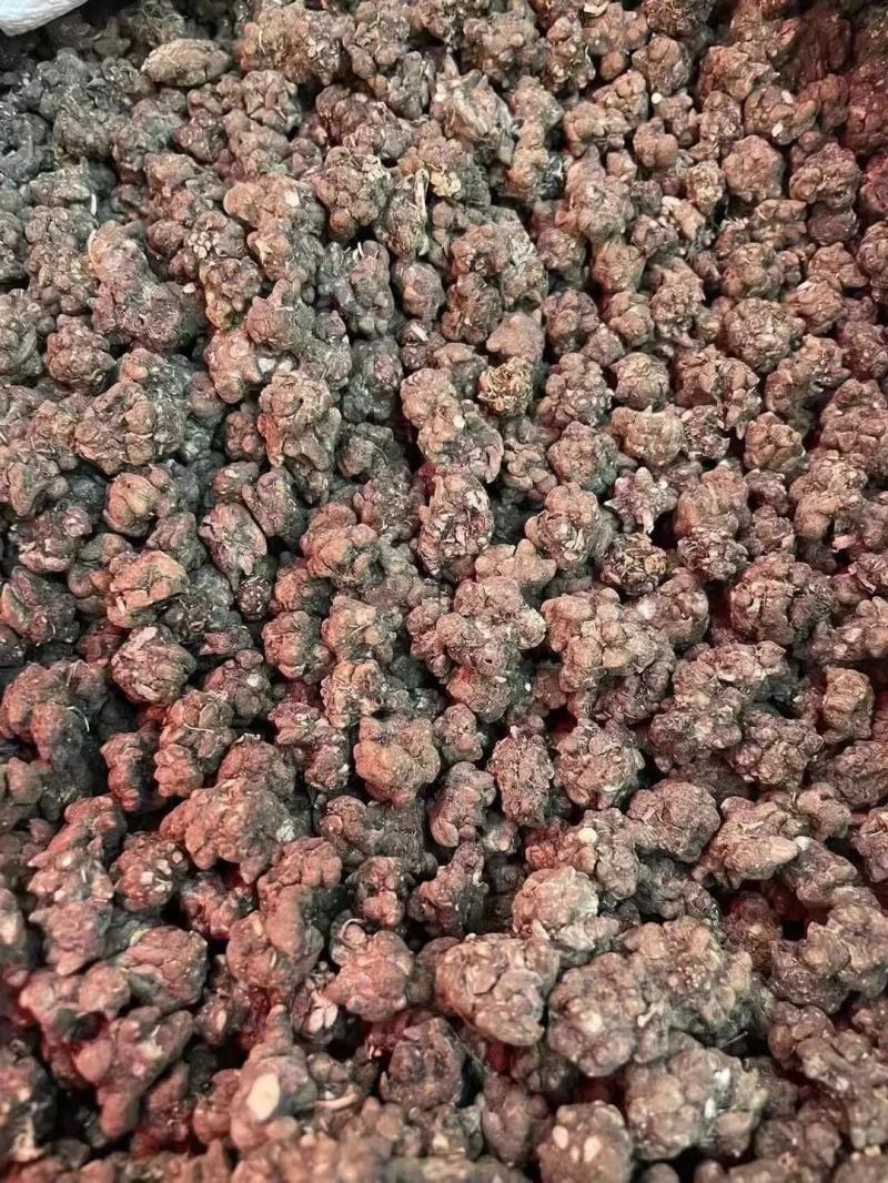 【包邮】猫爪草特级猫爪草野生晒干中药材无硫新鲜猫爪草当季