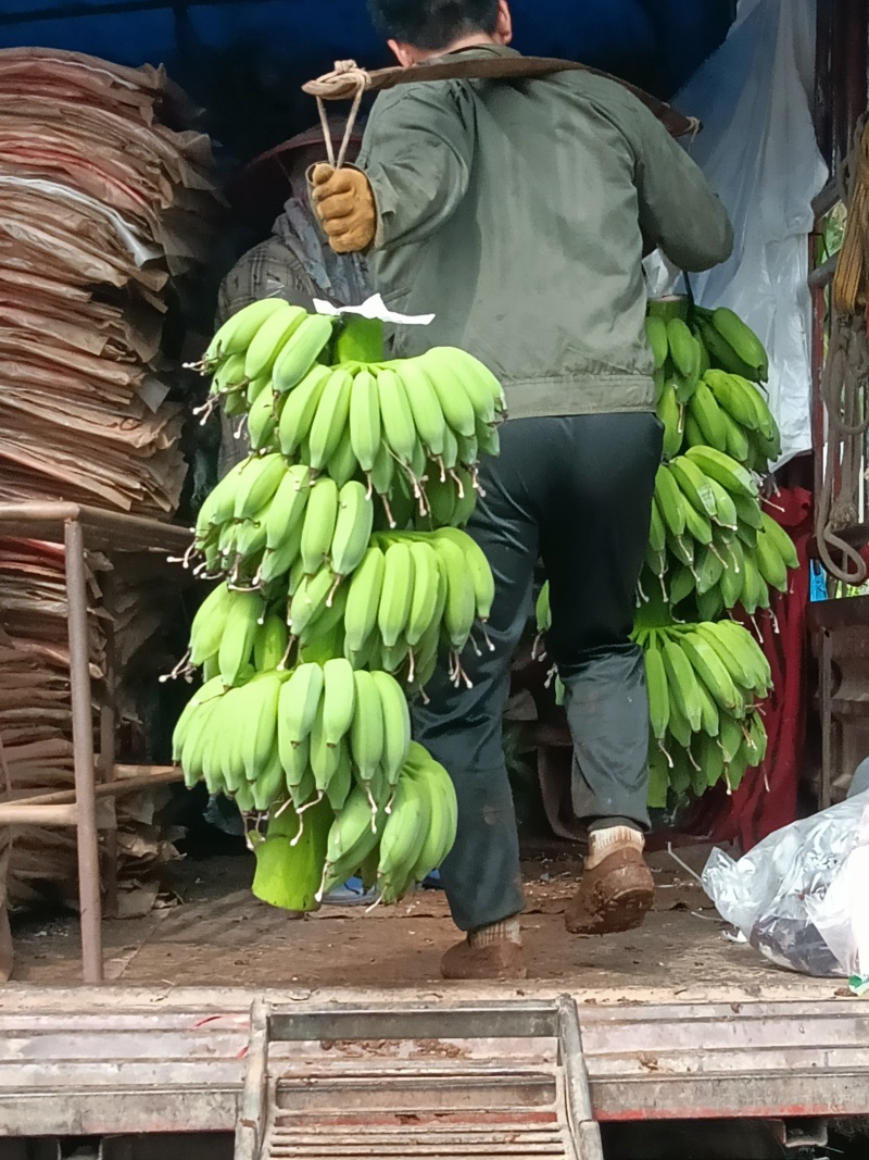 粉蕉，苹果蕉