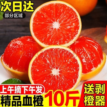 中华红橙江边橙血橙