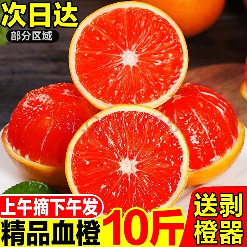 中华红橙江边橙血橙