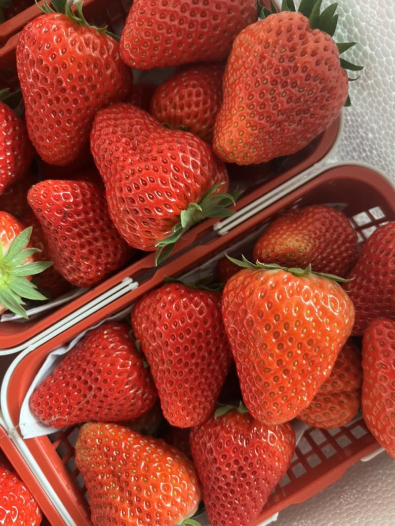 草莓🍓