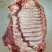 大猪多肉排骨，可鲜品，也可大吨位冻品