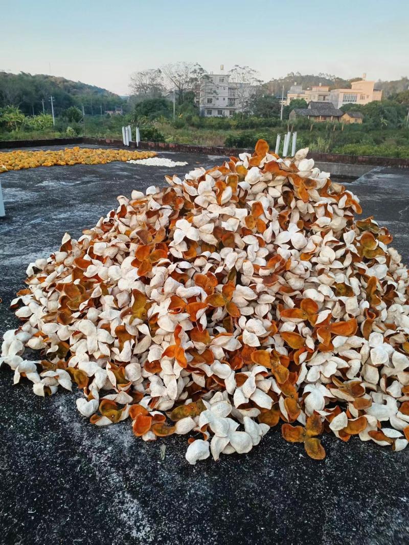 广西钦州市浦北县龙门镇23年茶枝柑大红皮，3/5年陈皮