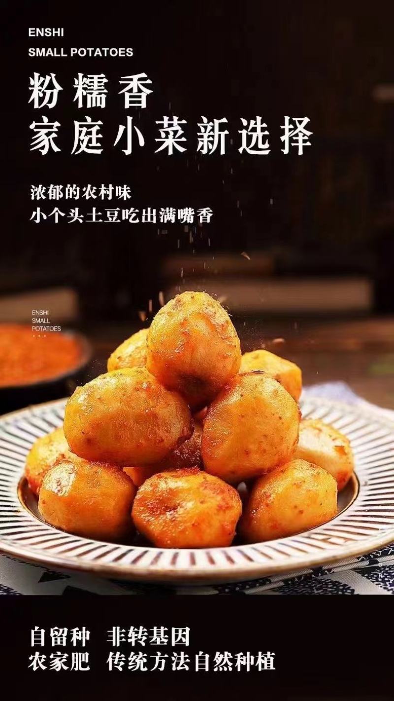 恩施富硒小土豆/对接电商/各大市场/产地直供/量大价优