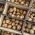 恩施富硒土豆老品种马尔科土豆，全年供应，欢迎合作