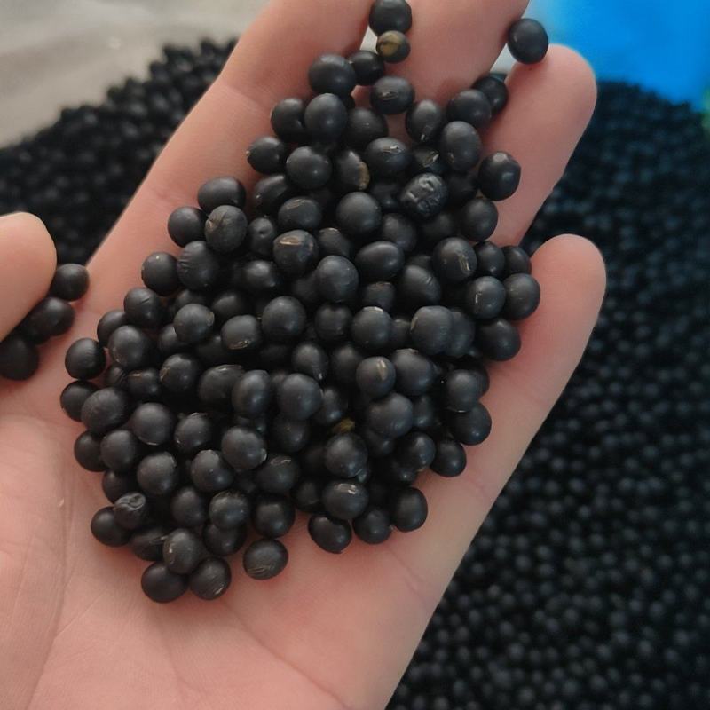 长年批发零售安徽亳州黑豆量大从优药食同源