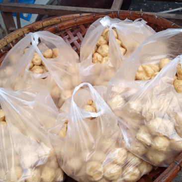 油豆腐