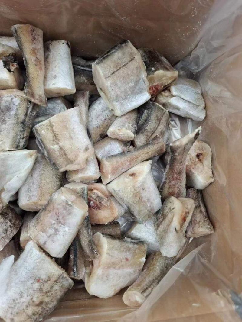 三去鳕鱼段25+供应，新鲜对接，量大从优，山东威海直发