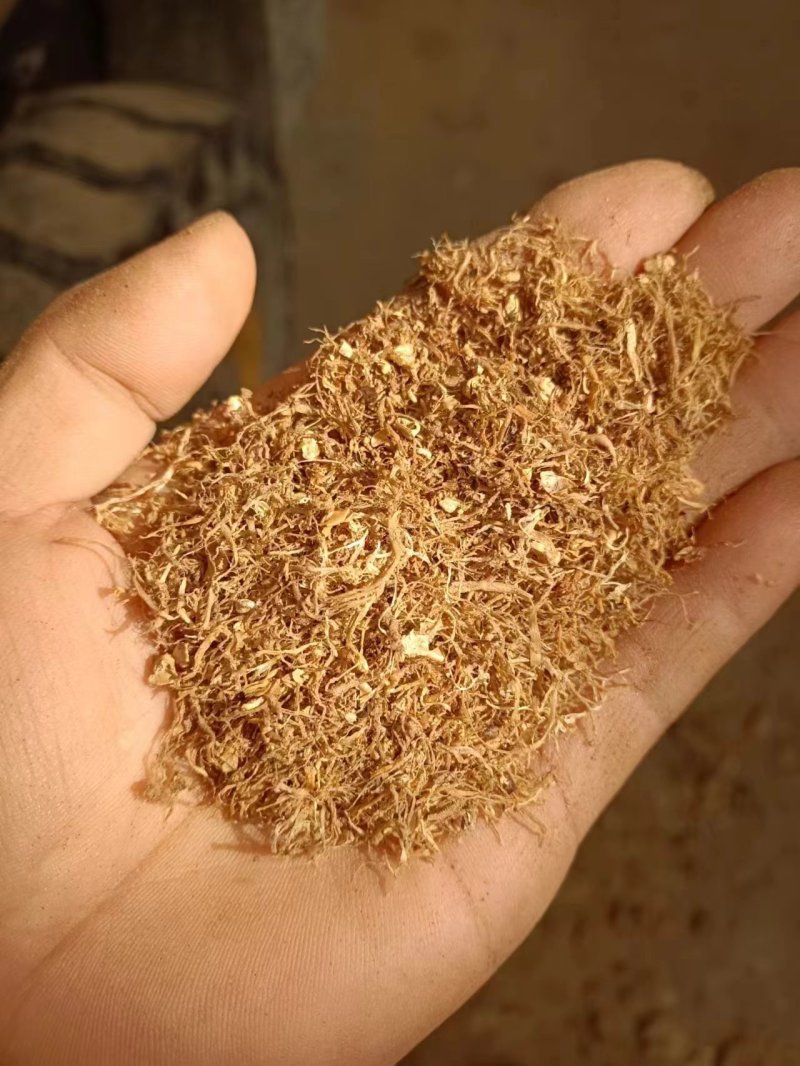 烘干金针菇渣，养殖户必备