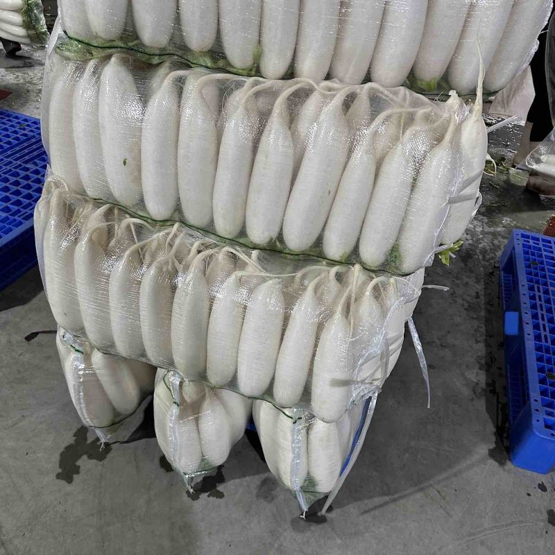 湖北沙洋白萝卜，产地直供，品质保证，热忱耐心，欢迎询购。