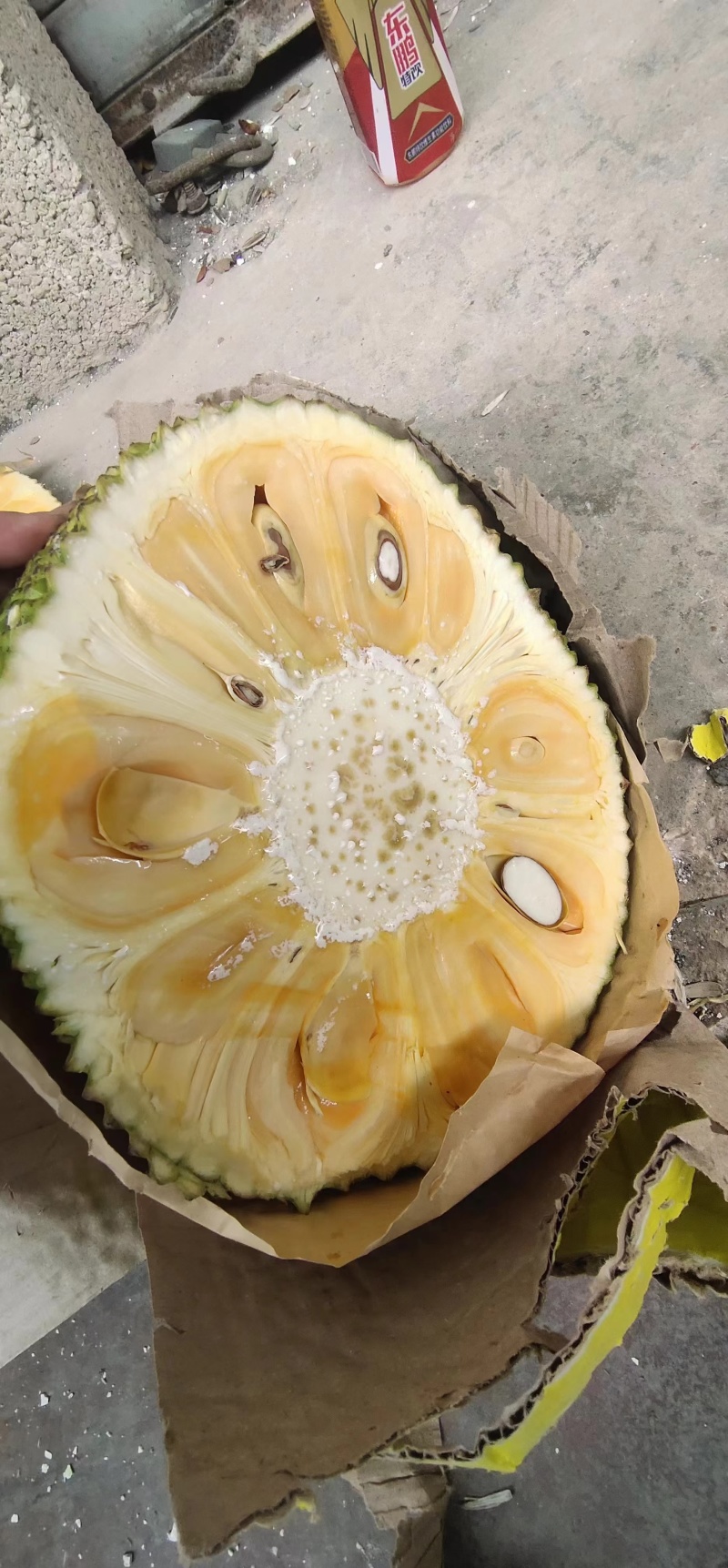 红肉菠萝蜜