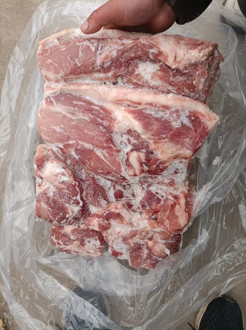 肥猪带皮前腿肉新货手续齐全厂家直发量大价优