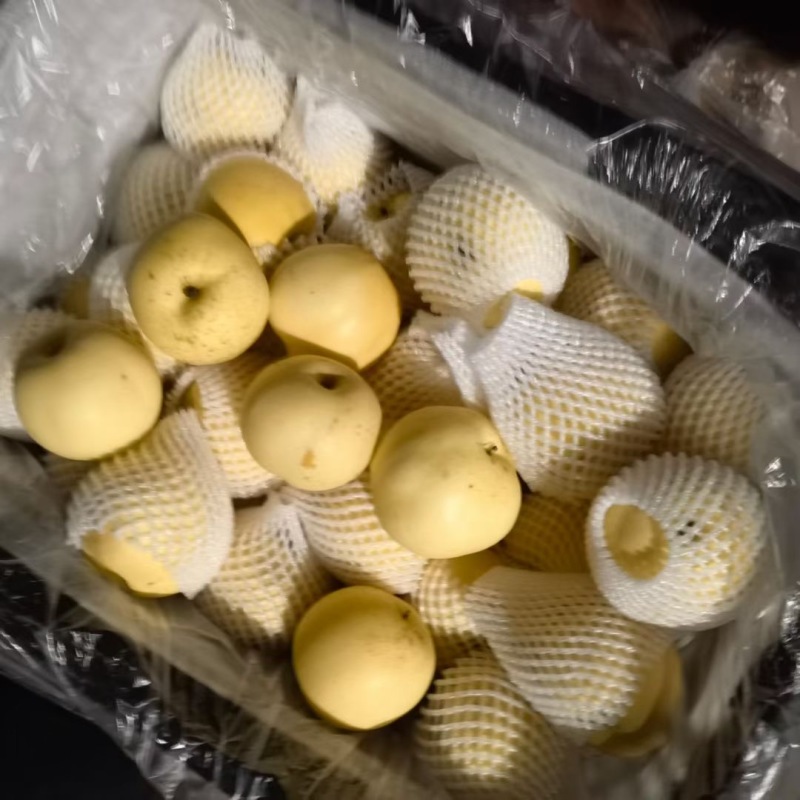 皇冠梨电商供应市场精品连锁商超供应产地一手货源