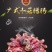 广式中山创腊园优质冬菇肠广式腊肠，手工冬菇肠好味道脆皮