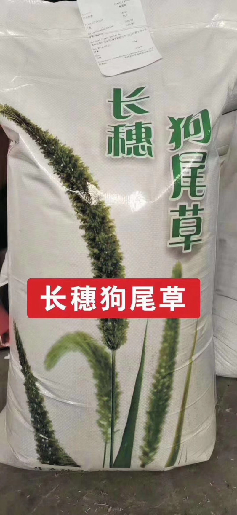 狗尾巴草种子多年生护坡王草籽耐旱观赏型混合杂草野草牛筋草