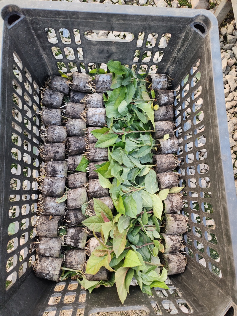量大价优，产地直销。