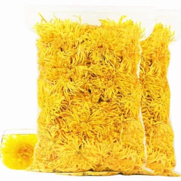 金丝皇菊