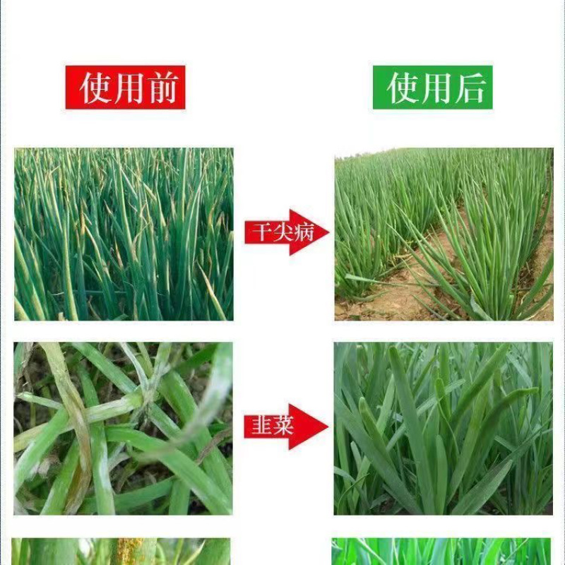 80%福.福锌杀菌剂福美霜福美锌蔬菜黄瓜果树辣椒瓜果炭疽