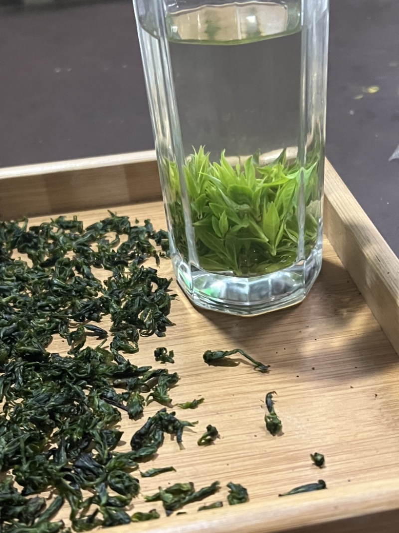 四川小叶苦丁茶，入口微苦回味甘甜的茶