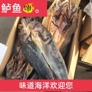 自晒鲈鱼干，海鲈鱼干，渔家腌制海鲜干货深海鲈鱼