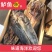 自晒鲈鱼干，海鲈鱼干，渔家腌制海鲜干货深海鲈鱼